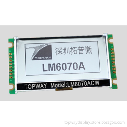 16064 Cog Display (LM6070ACW)